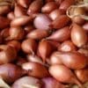 Shallots in shades of brown and reddish-purple in a basket with straw.