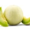 Honey Dew Melon