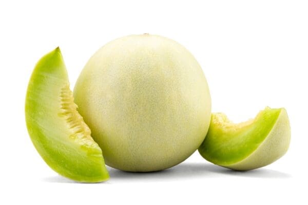 Honey Dew Melon