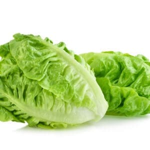 Two crisp romaine lettuce heads with green leaves on a white background.