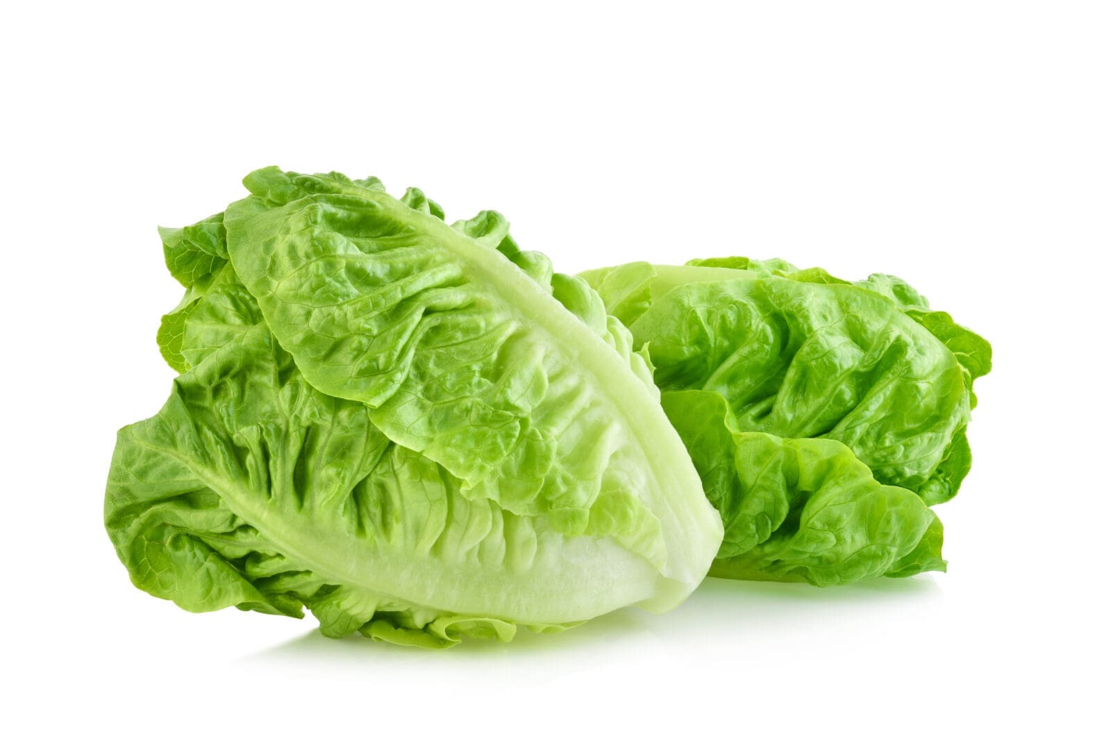 Two crisp romaine lettuce heads with green leaves on a white background.