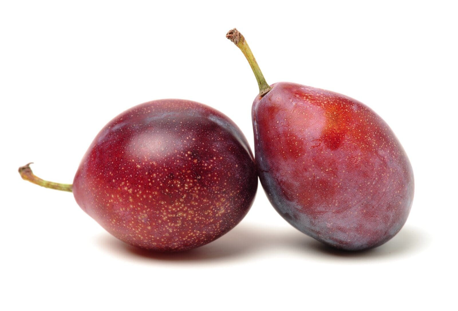 SUGAR PLUMS