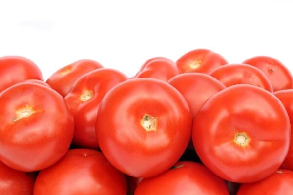 Ripe red tomatoes piled on a plain white background.