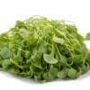 Fresh green watercress leaves piled with short stems on a white background.