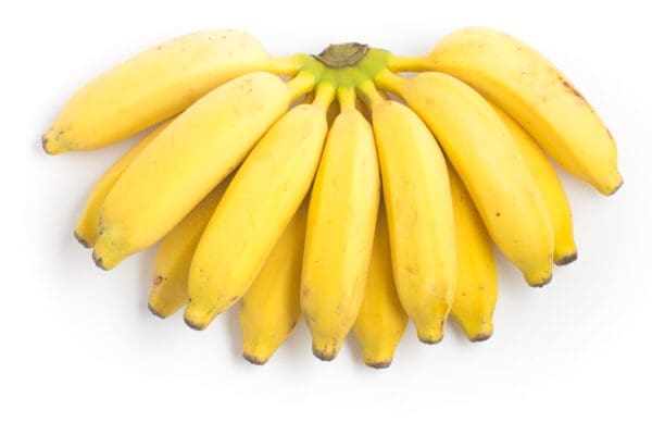 Ripe yellow bananas in a fan shape on a white background.
