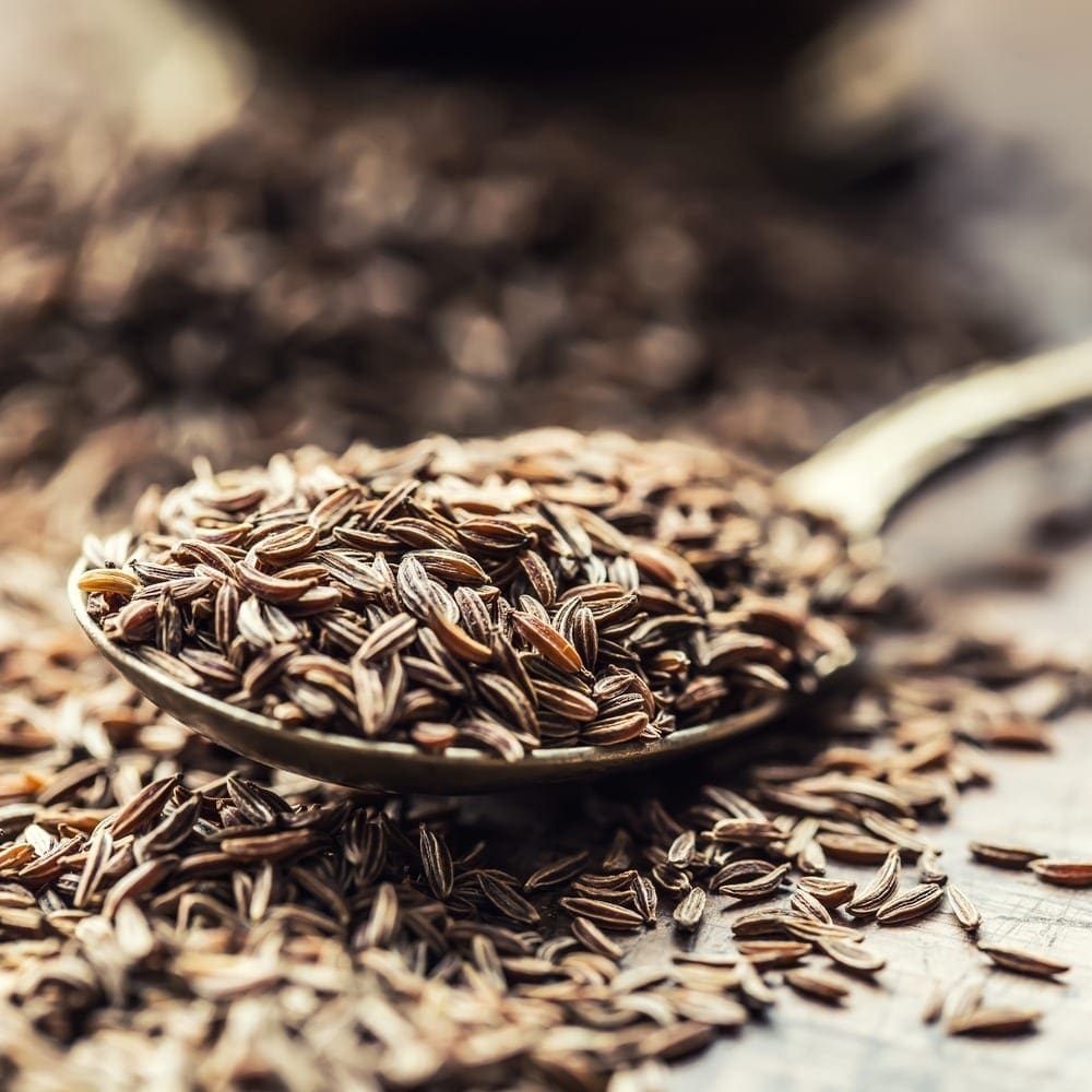 Spoonful of cumin seeds with scattered seeds on blurred background surface.