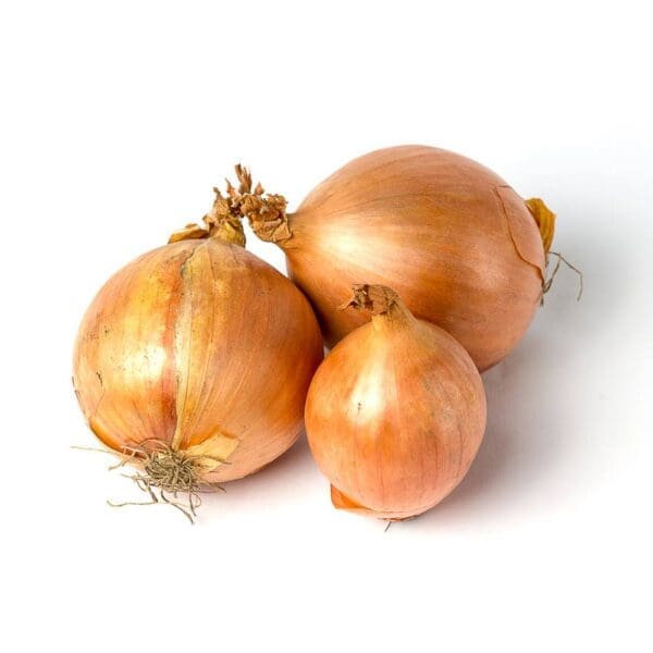 Three whole brown onions on a white background.