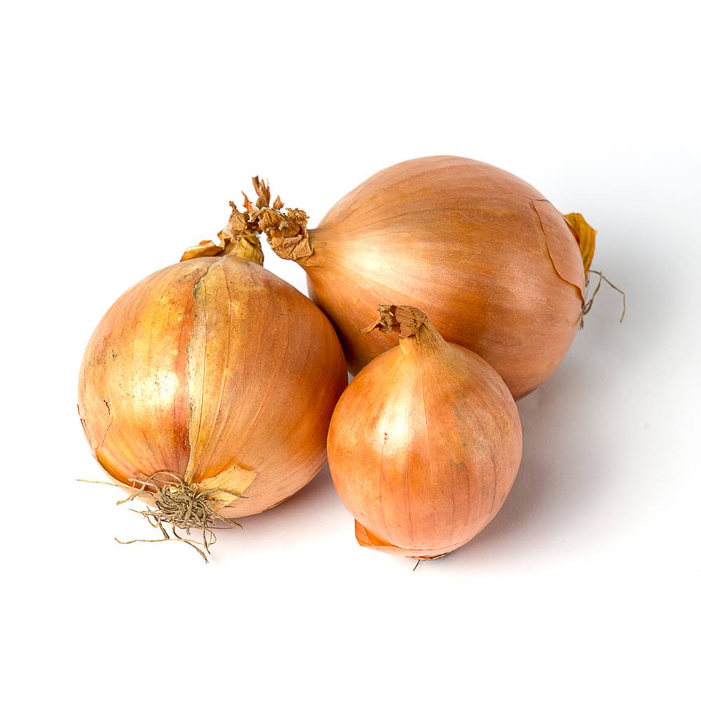Three whole brown onions on a white background.