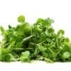 FRESH WATERCRESS BUNCHES - Image 2