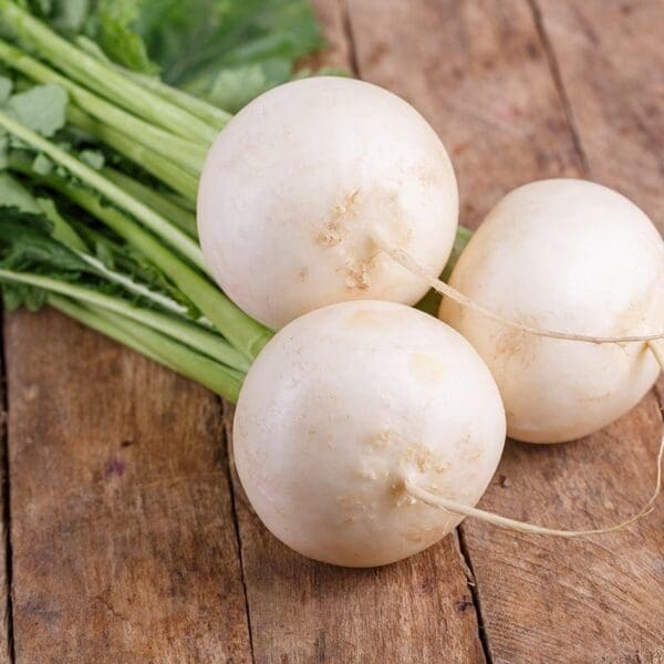 Three white turnips with leafy stems on a rustic wooden surface.