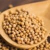 Wooden spoon with small, round, beige seeds used in cooking and spice preparation.