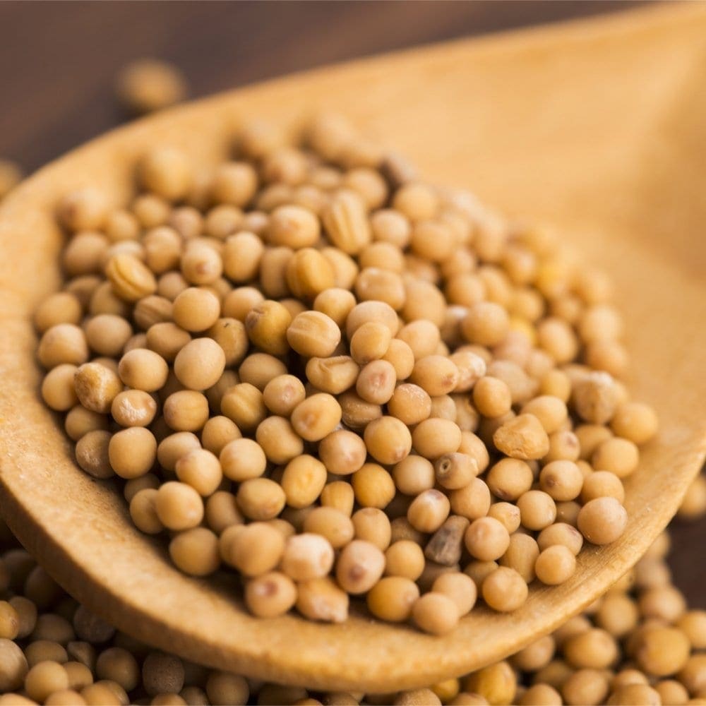 Wooden spoon with small, round, beige seeds used in cooking and spice preparation.